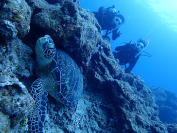 初心者専門マリンサービスサンフィッシュ石垣島に投稿された画像（2023/9/30）