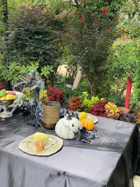 横浜イングリッシュガーデンに投稿された画像（2023/9/30）