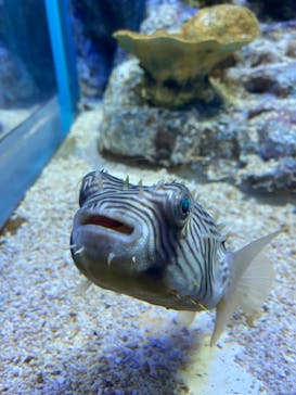 サンシャイン水族館に投稿された画像（2023/9/30）