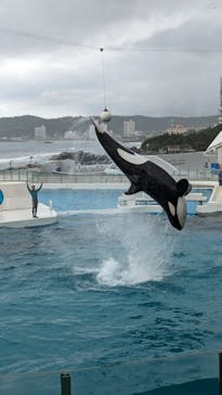 鴨川シーワールドに投稿された画像（2023/9/30）