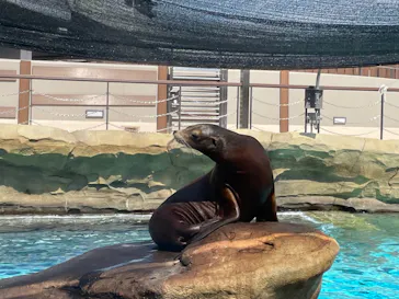 天王寺動物園に投稿された画像（2023/9/30）