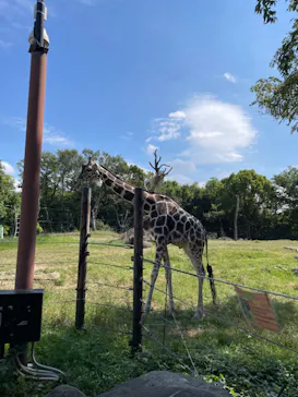 天王寺動物園に投稿された画像（2023/9/30）
