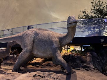 福井県立恐竜博物館に投稿された画像（2023/9/30）