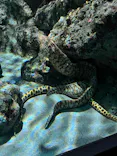 名古屋港水族館に投稿された画像（2023/9/30）