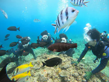 武藤潜水に投稿された画像（2023/9/30）