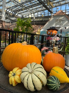 安城産業文化公園デンパークに投稿された画像（2023/9/30）