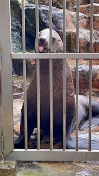 城崎マリンワールドに投稿された画像（2023/9/30）