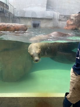 城崎マリンワールドに投稿された画像（2023/9/30）