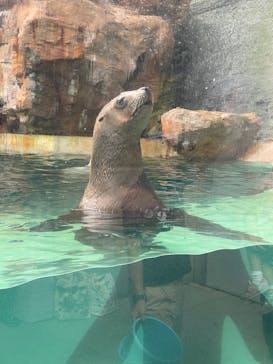 城崎マリンワールドに投稿された画像（2023/9/30）