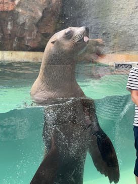 城崎マリンワールドに投稿された画像（2023/9/30）