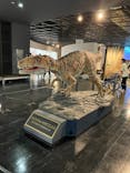 福井県立恐竜博物館に投稿された画像（2023/9/30）