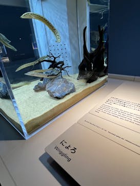 AOAO SAPPOROに投稿された画像（2023/9/30）