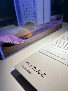 AOAO SAPPOROに投稿された画像（2023/9/30）