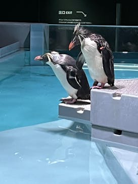 AOAO SAPPOROに投稿された画像（2023/9/30）