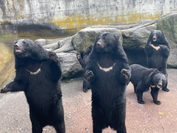 奥飛騨クマ牧場に投稿された画像（2023/9/30）