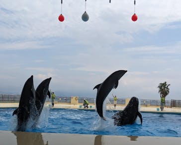 マリンワールド海の中道に投稿された画像（2023/9/30）