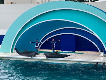 鴨川シーワールドに投稿された画像（2023/9/30）