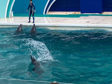 鴨川シーワールドに投稿された画像（2023/9/30）