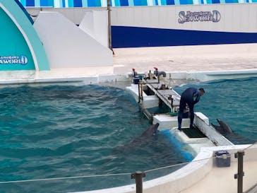 鴨川シーワールドに投稿された画像（2023/9/30）