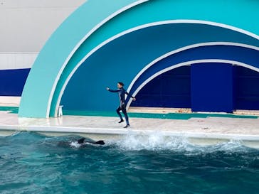 鴨川シーワールドに投稿された画像（2023/9/30）