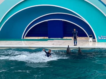 鴨川シーワールドに投稿された画像（2023/9/30）