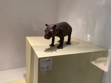 国立科学博物館に投稿された画像（2023/9/30）