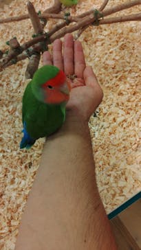 いきもの探検隊湘南に投稿された画像（2023/9/30）