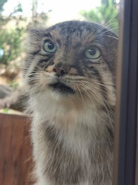 那須どうぶつ王国に投稿された画像（2023/9/30）