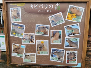 那須どうぶつ王国に投稿された画像（2023/9/30）