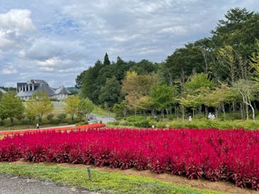 牧歌の里に投稿された画像（2023/9/30）