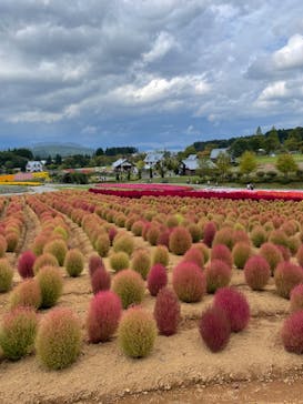牧歌の里に投稿された画像（2023/9/30）