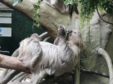 那須どうぶつ王国に投稿された画像（2023/9/30）