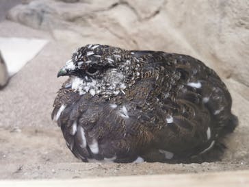 那須どうぶつ王国に投稿された画像（2023/9/30）