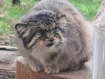 那須どうぶつ王国に投稿された画像（2023/9/30）