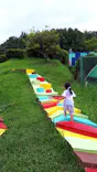 日本モンキーパークに投稿された画像（2023/9/30）