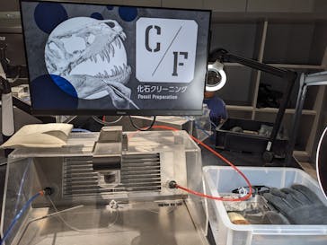 福井県立恐竜博物館に投稿された画像（2023/9/30）