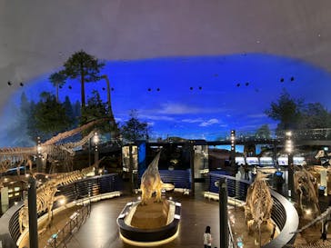 福井県立恐竜博物館に投稿された画像（2023/9/30）