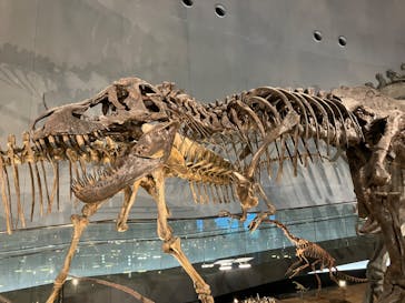 福井県立恐竜博物館に投稿された画像（2023/9/30）