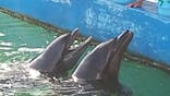 下田海中水族館に投稿された画像（2023/9/30）