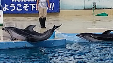 下田海中水族館に投稿された画像（2023/9/30）