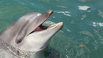下田海中水族館に投稿された画像（2023/9/30）