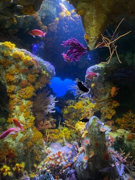 サンシャイン水族館に投稿された画像（2023/9/30）