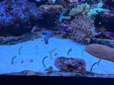 サンシャイン水族館に投稿された画像（2023/9/30）