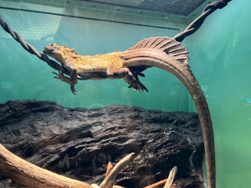 サンシャイン水族館に投稿された画像（2023/9/30）