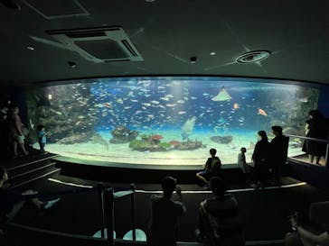 サンシャイン水族館に投稿された画像（2023/9/30）