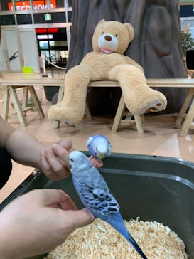 いきもの探検隊上尾に投稿された画像（2023/9/30）