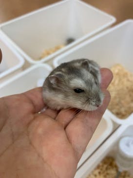 いきもの探検隊上尾に投稿された画像（2023/9/30）