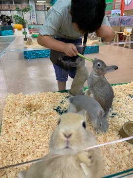 いきもの探検隊上尾に投稿された画像（2023/9/30）