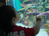 サンシャイン水族館に投稿された画像（2023/9/30）