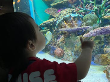 サンシャイン水族館に投稿された画像（2023/9/30）